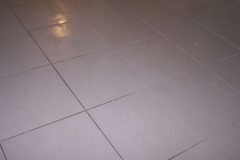 Carpet Cleaning - Gold Coast - cleaned Tile